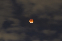 View of the Eclipse Super Moon and Blood Moon from Chicago 