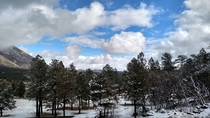 View Outside Flagstaff AZ 
