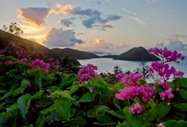 Virgin Islands Sunset on St John 
