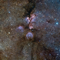 VISTAs infrared view of the Cats Paw Nebula 
