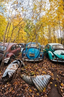 VW Graveyard 