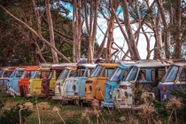 VW Kombi Van graveyard in Victoria Australia Photo credit to scene_byme
