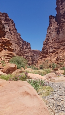 Wadi al-deysah 
