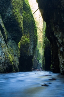 Wading through freezing water for this Oneonta Gorge OR 