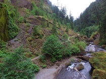 Wahclella Falls Trail Oregon 
