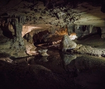 Waipu Caves New Zealand - 