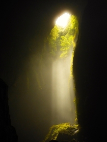 Waitomo Glowworm Caves in New Zealand 