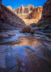 Walking through creeks after a hot day in the desert is the best From the Dark Canyon Wilderness in southern Utah 