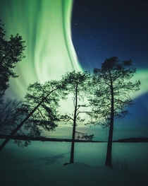 Wall of Northern Lights in northern Finland 