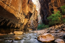 Wall Street in The Narrows river gorge - Zion National Park Utah 