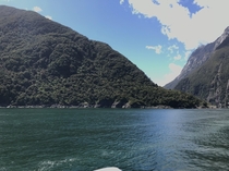 Was on a boat in New Zealand got this pic 