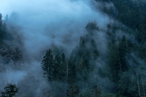 Watching fog moving smoothly around alpine trees and waterfalls on a moody evening in the mt Baker wilderness Washington USA 