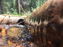 water cresting over a log in colorado 