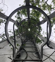 Water tower ladder in an abandoned housing area