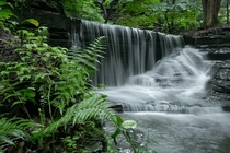 Waterfall and ferns on a rainy day in Ithaca NYOC