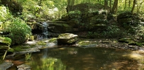 Waterfall and lush creek in West Virginia 