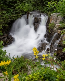 Waterfall and wildflowers Colorado 