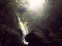 Waterfall in Big Sur California Taken with my iPhone 