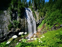 Waterfall in Rainer National Park 