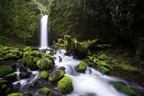 Waterfall in the Columbia River Gorge Oregon USA 