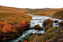 Waterfalls above Skogafoss in Autumn - Sogafoss Iceland  x