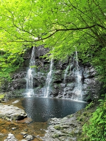 Waterfalls at Glenariff Forest Park Northern Ireland 
