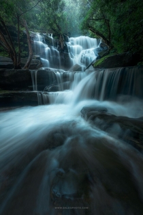 Waterfalls in an Australian rainforest OC x dalegphoto