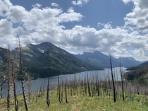 Waterton Alberta after a wildfire ravaged most of the trees 