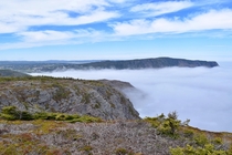 Went for a hike on a foggy day The view above the fog was incredible Newfoundland Canada  OC