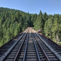 Went to an old abandoned rail bridge on Vancouver island Canada Its amazing Its roughly  meters tall and is mostly wood and metal Hasnt been used since 