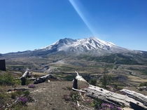 Went to Mt Saint Helens a couple of days ago The mountain and area look so unreal 