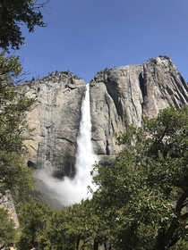 Went to Yosemite for my honeymoon Park ranger told us this is the most water that has come thru the falls in  years  x 