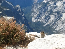 Went to Yosemite National Park---at the top of Clouds Rest I was greeted by a friendly squirrel x