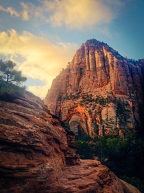Went to Zion National Park last weekend and was blown away by the sunrise Took this on my phone 