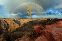 Western Rim Grand Canyon after the rain 