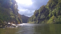 Whanganui River New Zealand 