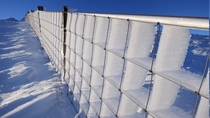 When constant winds and ice meet a fence