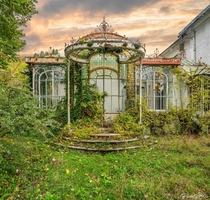 When Nature Takes Over  - A beautiful Magical greenhouse 
