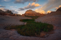 White Pocket in Northern Arizona is a strange but beautiful place Go Green by Victor Carreiro 