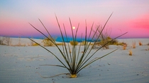 White Sands graced us with a colorful sunset - 