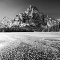 Who needs color when you have curves like these Mt Chephren in Banff National Park 