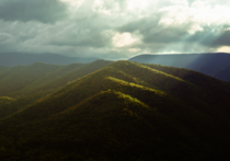 Wild Monongahela National Forest West Virginia 