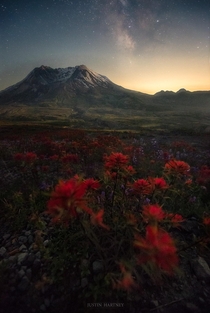 Wildflowers and the Milky Way over Mt St Helens 