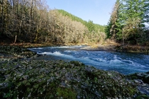 Wilson River Oregon 