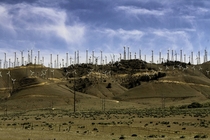 Wind farms at Tehachapi Pass Kern County CA 
