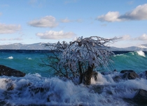 Wind on the West Shore of Lake Tahoe CA 