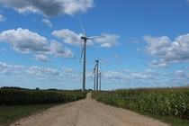 Wind turbines in a western Minnesota corn field 