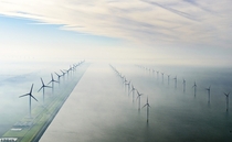 Wind turbines in early-morning fog Flevoland the Netherlands 