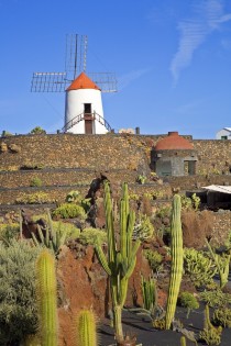 Windmill in Lanzarote Canary Islands Spain 
