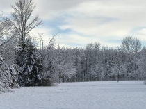 Winter field Near Vancouver Canada 